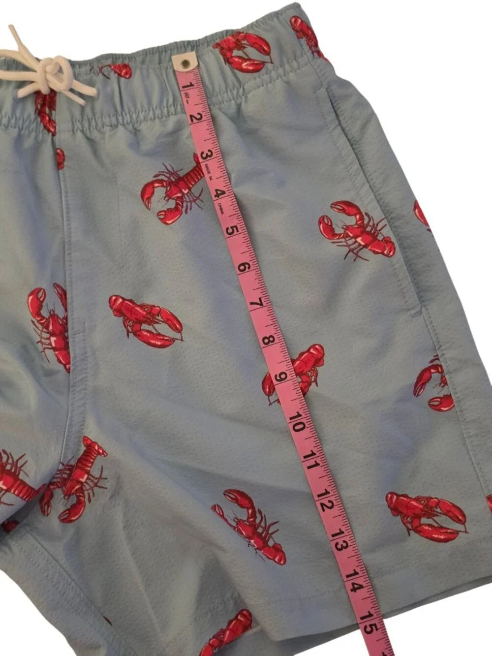 Hollister Lobster Swim Trunks Mens Small Blue Red Print Lined Drawstring Shorts - Picture 10 of 10